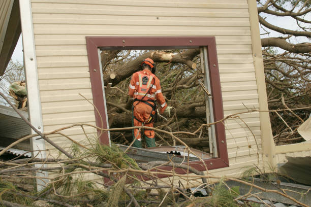 Best Storm Damage Tree Cleanup  in Surprise, AZ